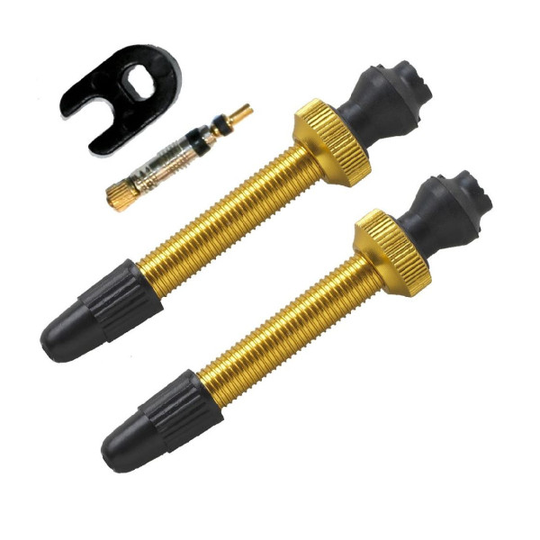 Barbieri Tubeless Valve Aluminium SV 45mm 2 pieces | Gold