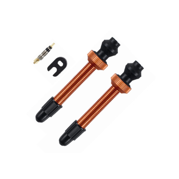 Barbieri Tubeless Valve Aluminium SV 45mm 2 pieces | Orange