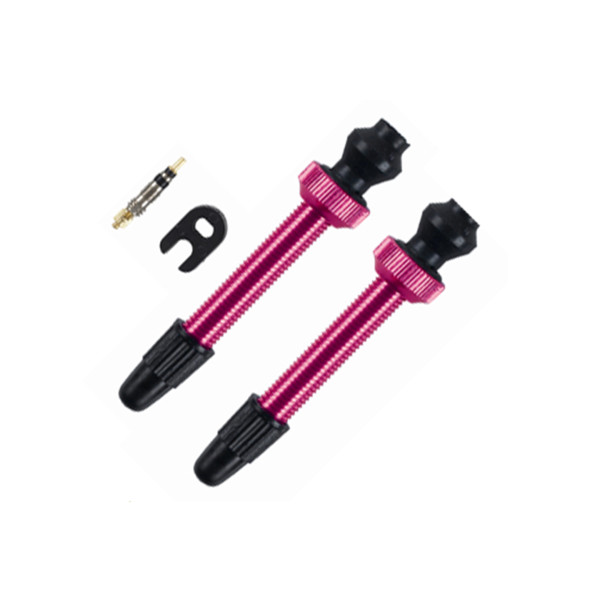 Barbieri Tubeless ventiliai SV 45 mm, 2 vnt / Pink