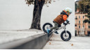 Early Rider Bikes: Models and How to Choose?