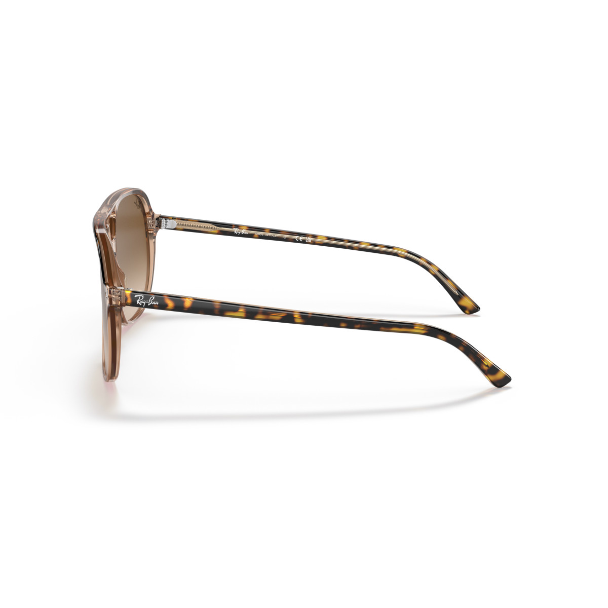 Ray-Ban Bill akiniai | Havana On Transparent Brown - Light Brown Gradient