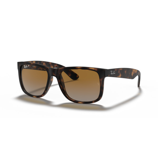 Ray-Ban Justin Classic akiniai | Polarized | Havana - Brown Grey