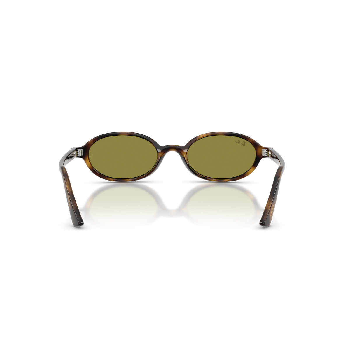 Ray-Ban Khal Small akiniai | Havana - Green
