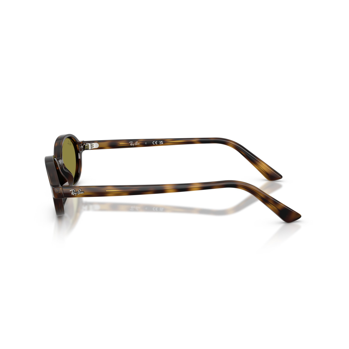 Ray-Ban Khal Small akiniai | Havana - Green