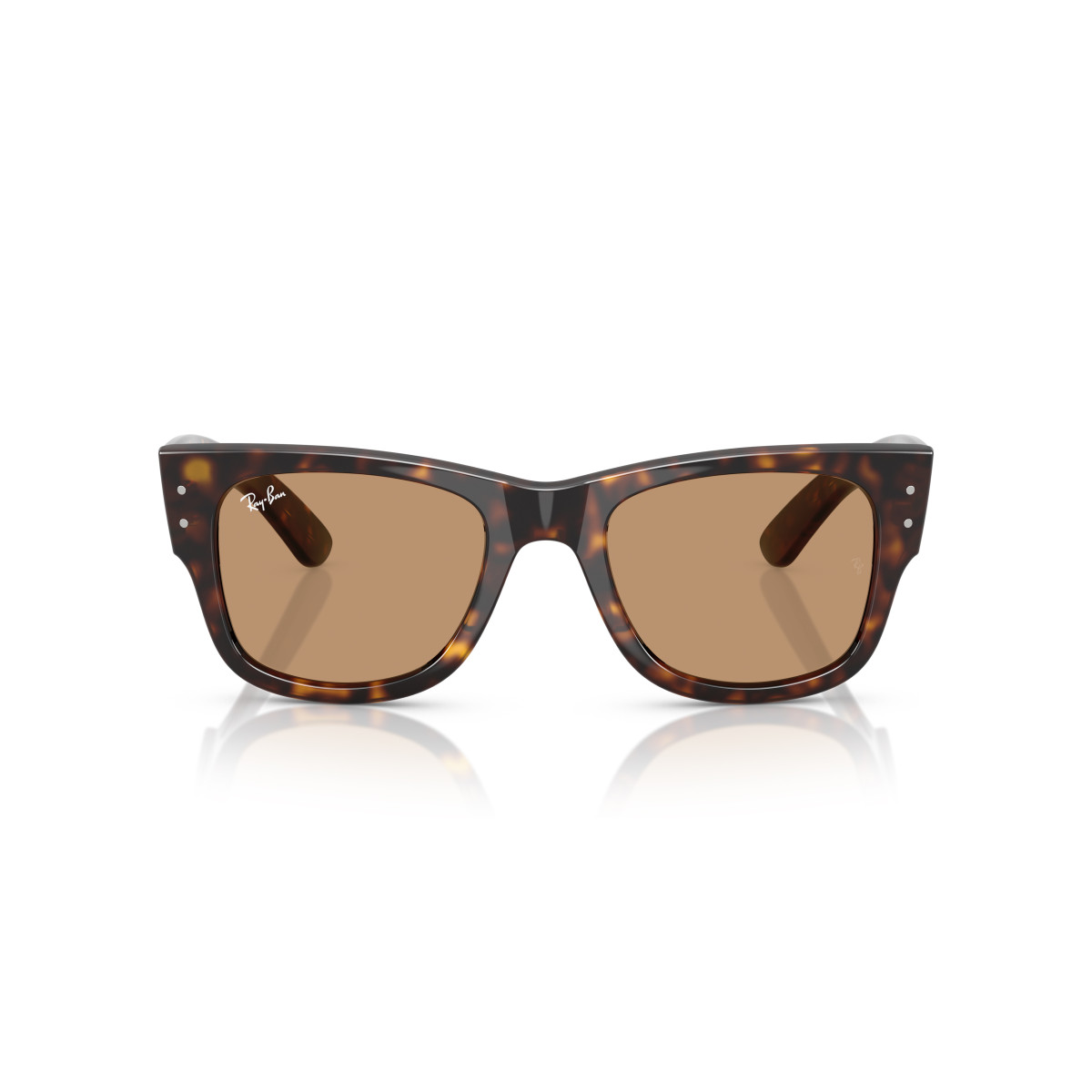 Ray-Ban Mega Wayfarer akiniai | Havana - Brown