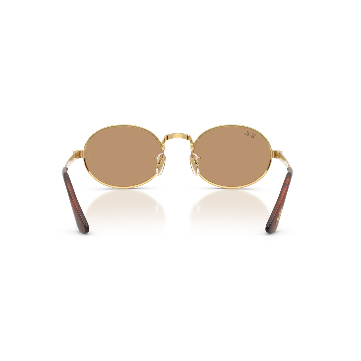 Ray-Ban RB3931 By A$AP Rocky akiniai | Arista Gold - Brown