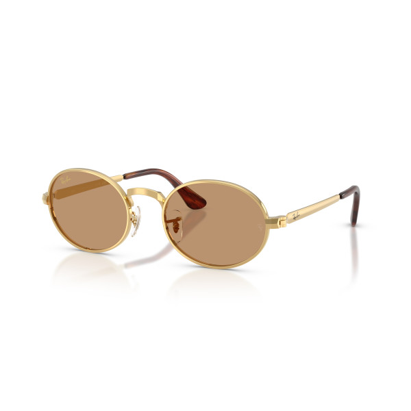 Ray-Ban RB3931 By A$AP Rocky akiniai | Arista Gold - Brown