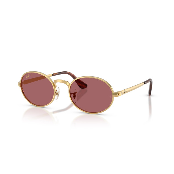 Ray-Ban RB3931 By A$AP Rocky akiniai | Polarized | Arista Gold - Purple