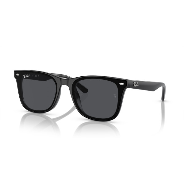 Ray-Ban RB4420 akiniai | Black - Dark Gray