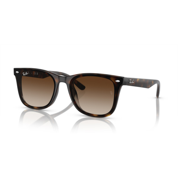 Ray-Ban RB4420 akiniai | Havana - Brown