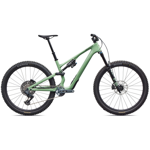Specialized Stumpjumper 15 EVO Expert AXS kalnų dviratis | 29" | Gloss Pistachio - Dark Moss Green