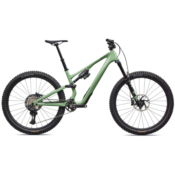 Specialized Stumpjumper 15 Expert kalnų dviratis | 29" | Gloss Pistachio - Dark Moss Green