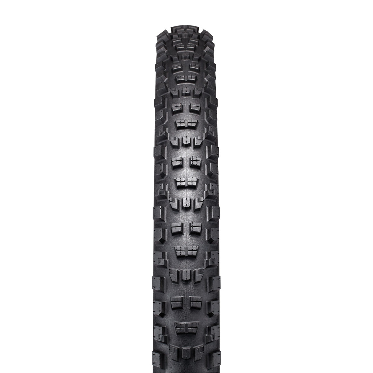 Specialized Eliminator Gravity Radial T7/T9 TLR Enduro 29" sulankstoma padanga | Black