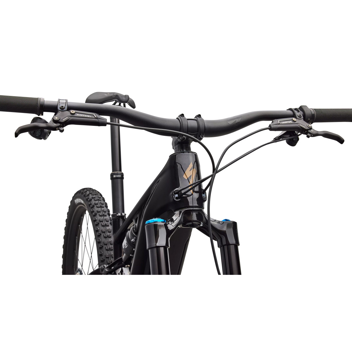 Specialized Turbo Levo R Expert elektrinis dviratis | Gloss Carbon - Burnt Gold Metallic