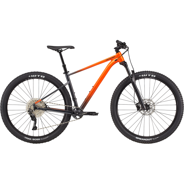 Cannondale Trail SE 3 kalnų dviratis | 29" | Sage Grey