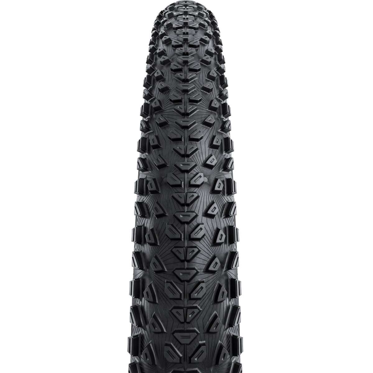 Continental Dubnital Trail Rapid 29" TR E-25 sulankstoma padanga | Black - Transparent Continental Dubnital Trail Rapid 29" TR E-25 sulankstoma padanga | Black - Transparent