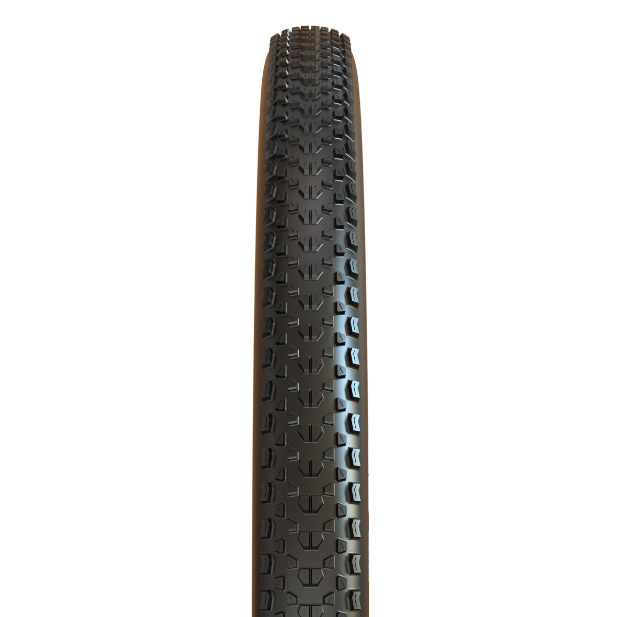 Maxxis Ikon 29" padanga Maxxis Ikon 29" padanga