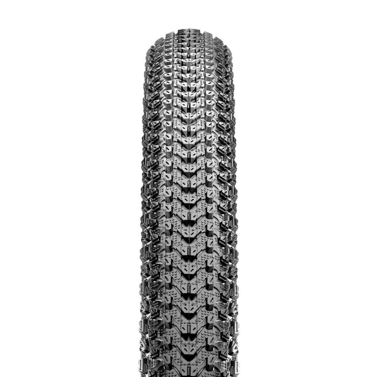 Maxxis Pace 29" padanga Maxxis Pace 29" padanga