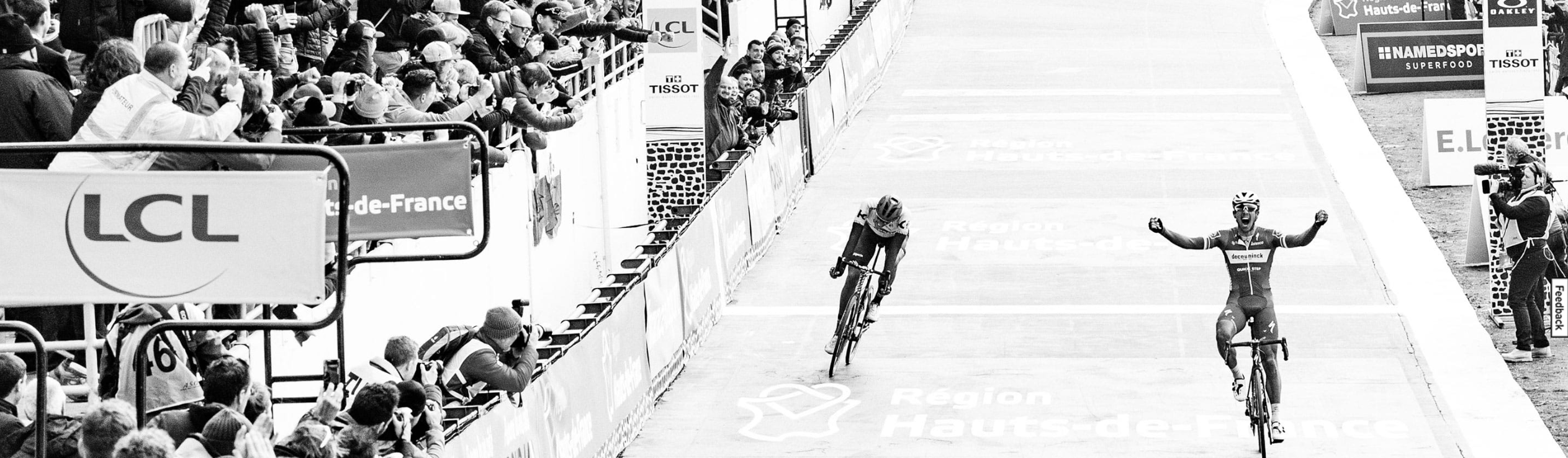 Specialized Roubaix Pro Road bike Chameleon Silver Green