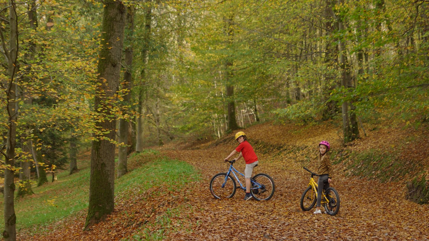 Du vaikai miške pozuoja su dviračiais