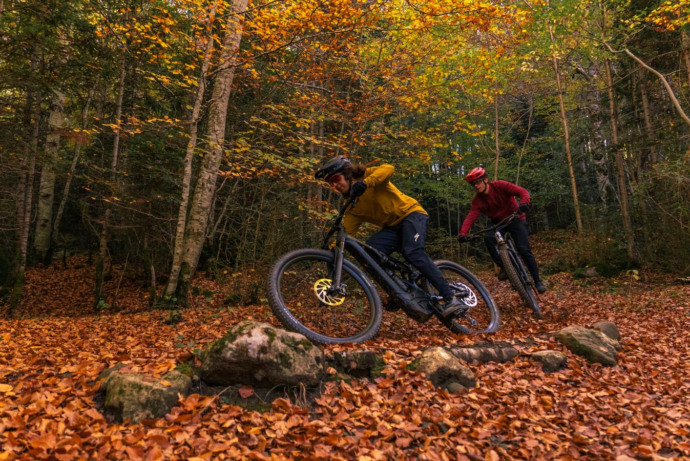 Two men riding MTB bikes in a forest