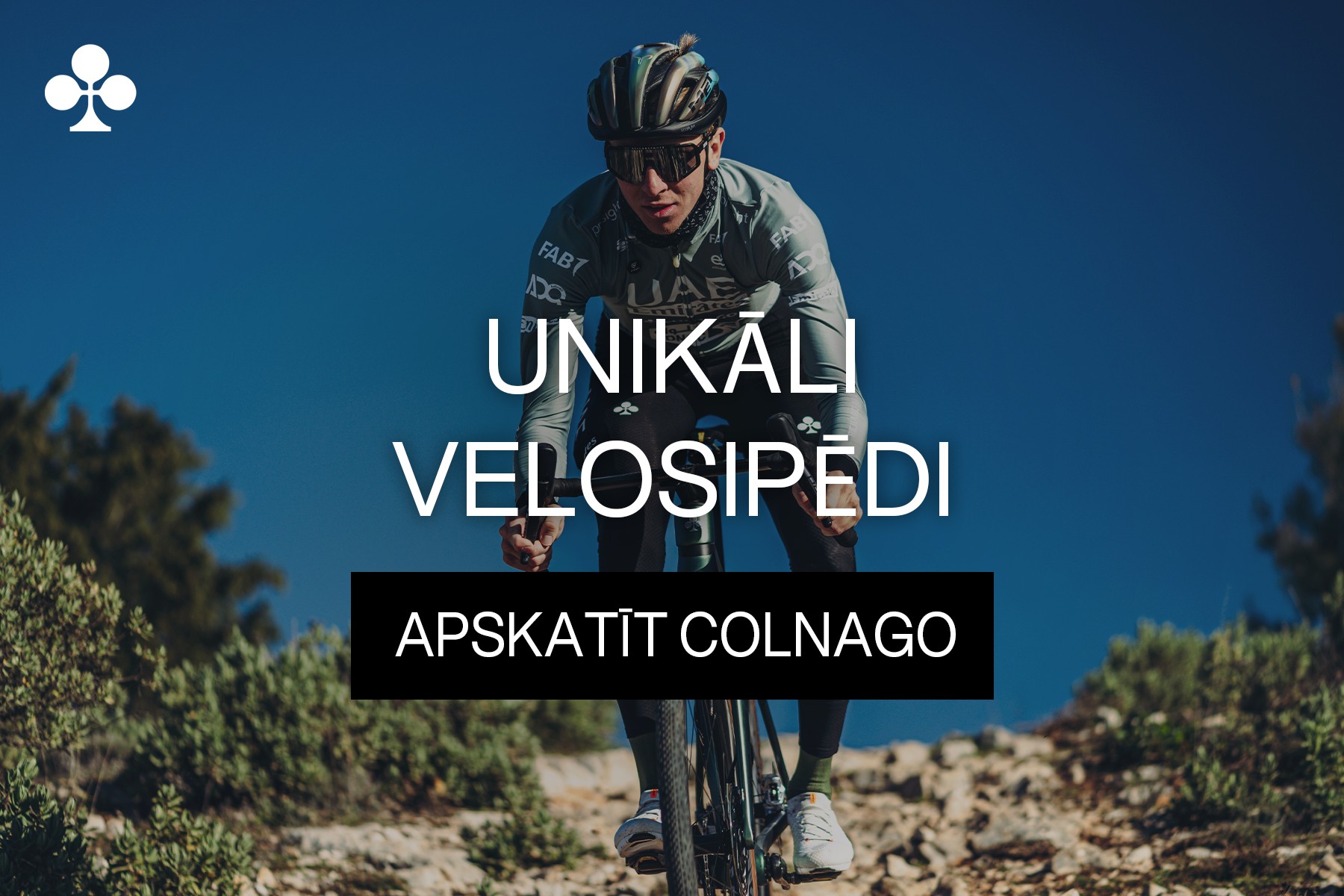 Colnago Velosipēdi