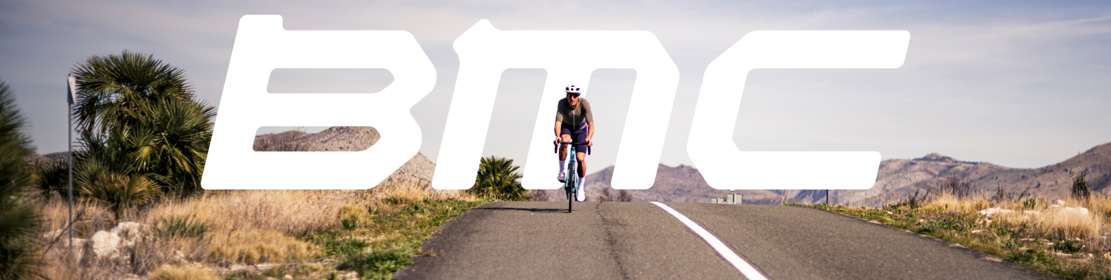 BMC