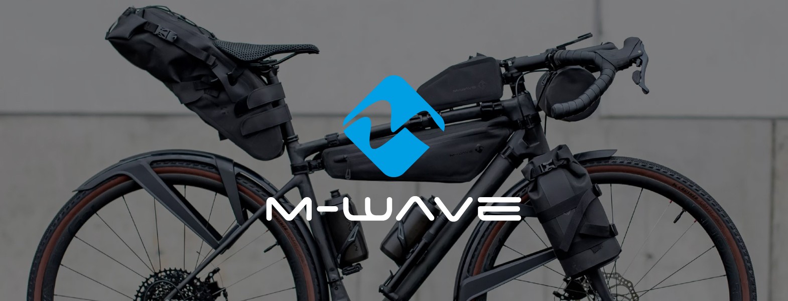 Dviratis apkrautas kelioniniais krepšiais