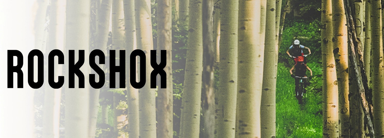 Miškas ir fone du MTB dviratininkai