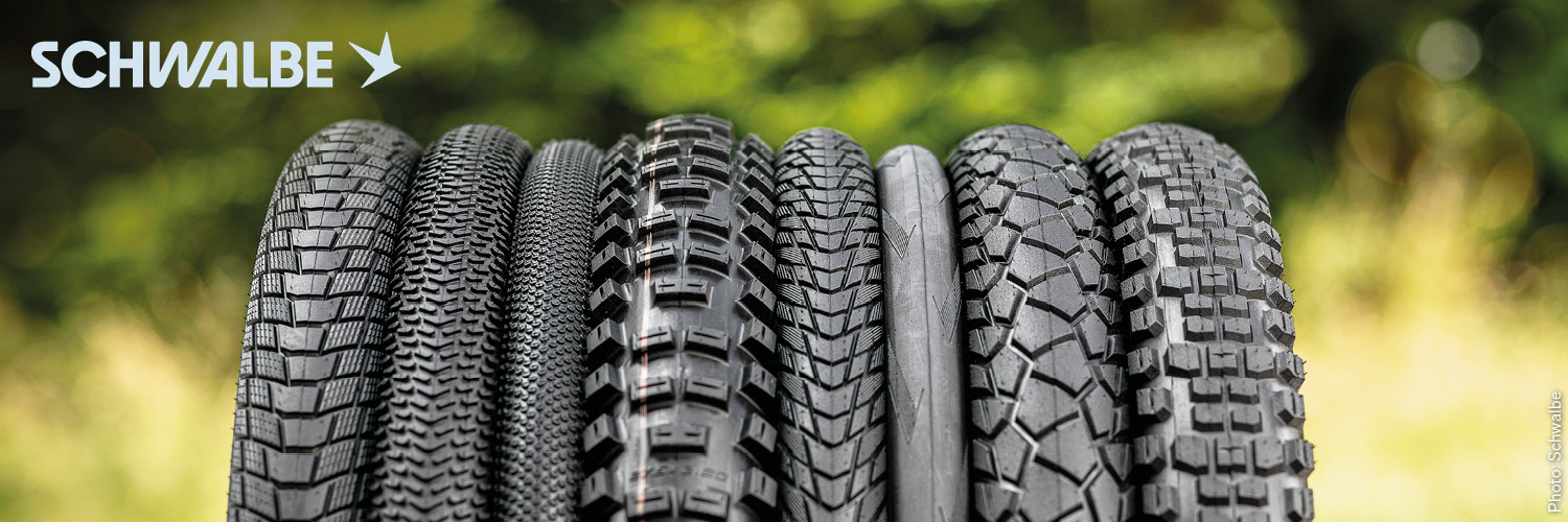 Schwalbe sustatytos padangos