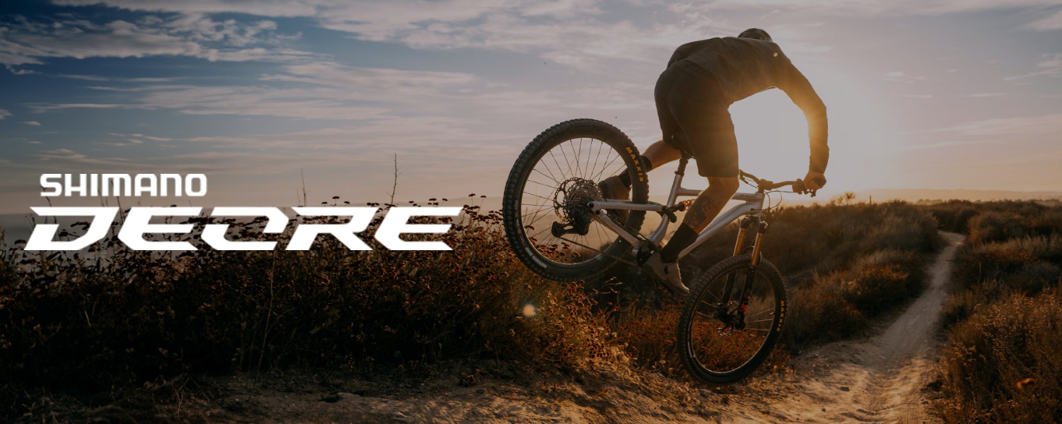 Cyclist riding a mountain bike