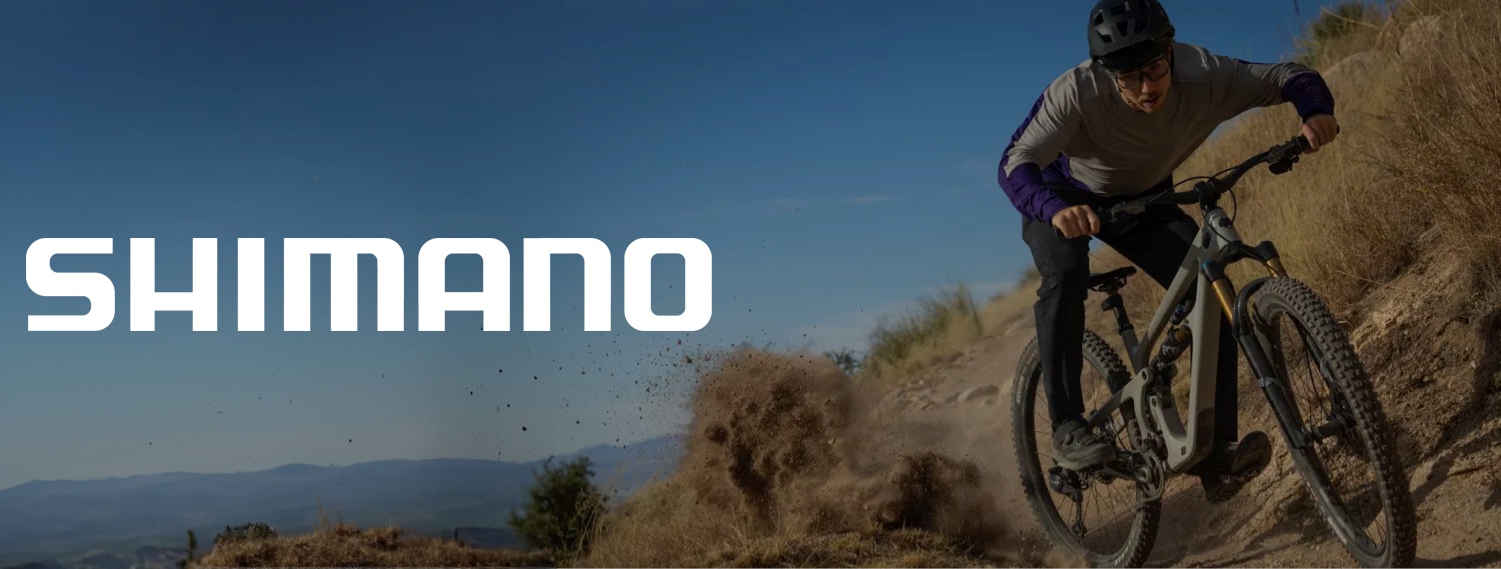 MTB dviratininkas važiuojantis kalnuose