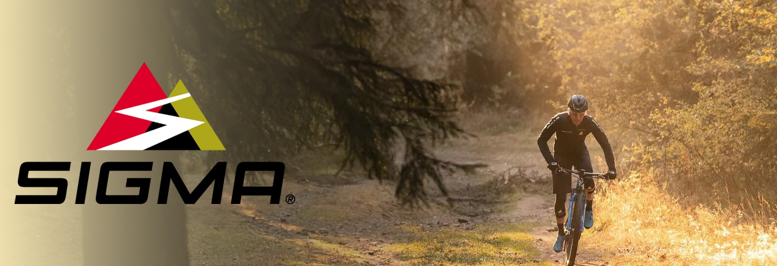 Žmogus važiuojantis MTB dviračiu mišku