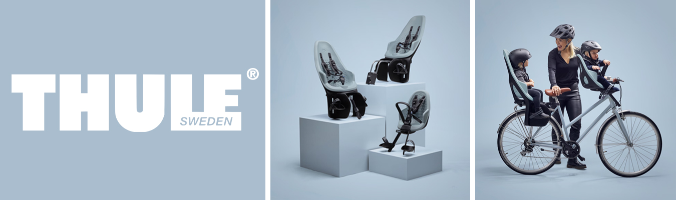 Thule Yepp 2 child bike seat