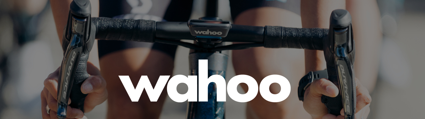 Wahoo Bolt v3