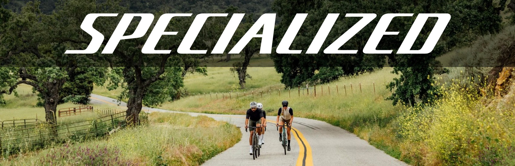 Specialized Roubaix SL8