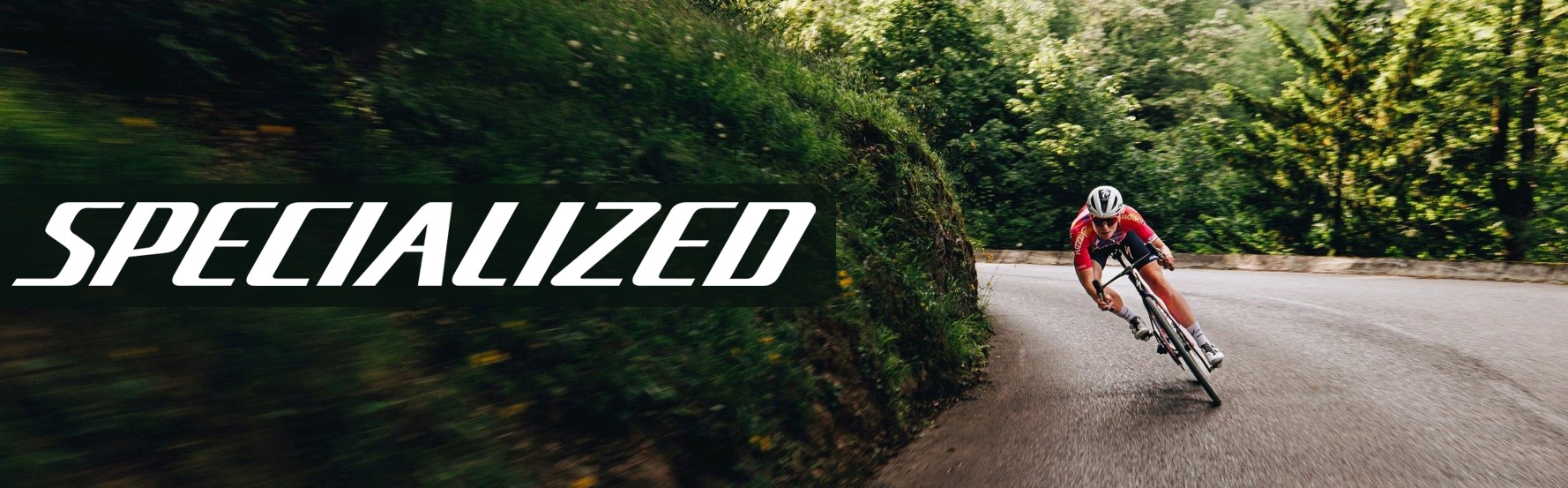 Specialized Tarmac SL8 Frame