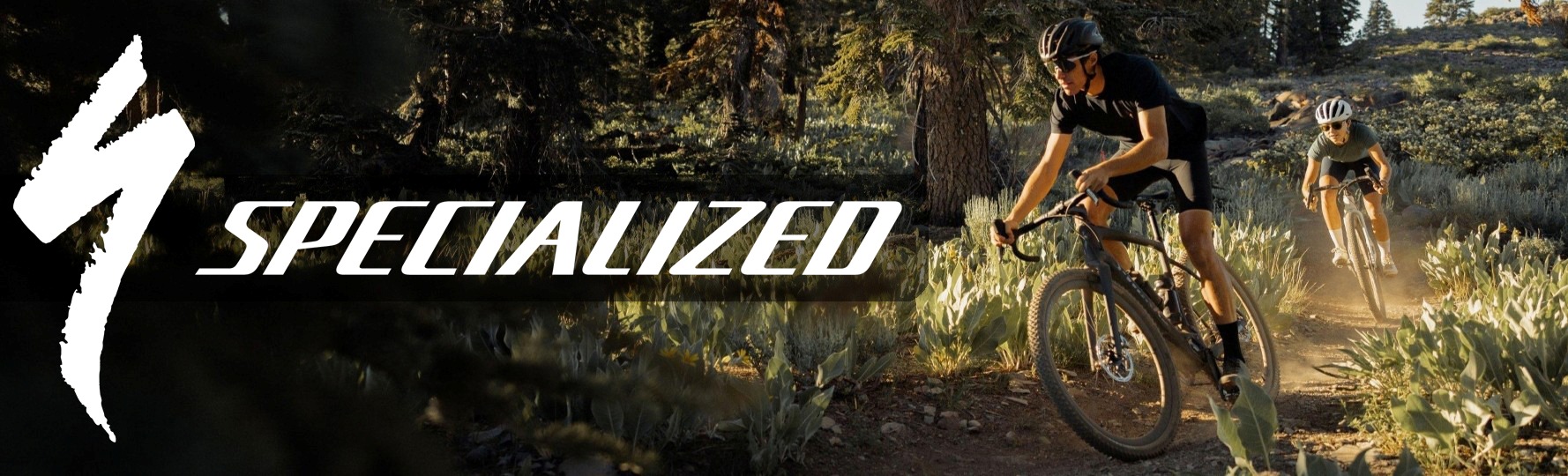Specialized Turbo Creo 2